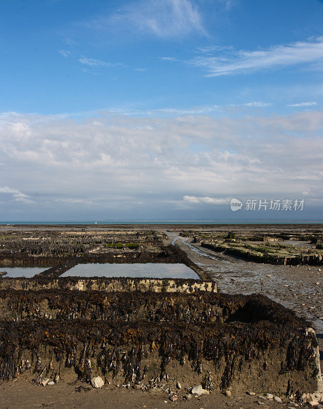 Cancale -牡蛎和贻贝农场